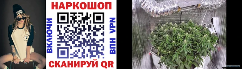 Все наркотики Новосиль Cocaine  МЕФ  A PVP  МАРИХУАНА  Гашиш 