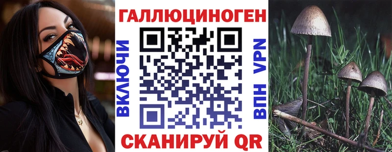 как найти закладки  Новосиль  нарко площадка официальный сайт  Галлюциногенные грибы Psilocybe 